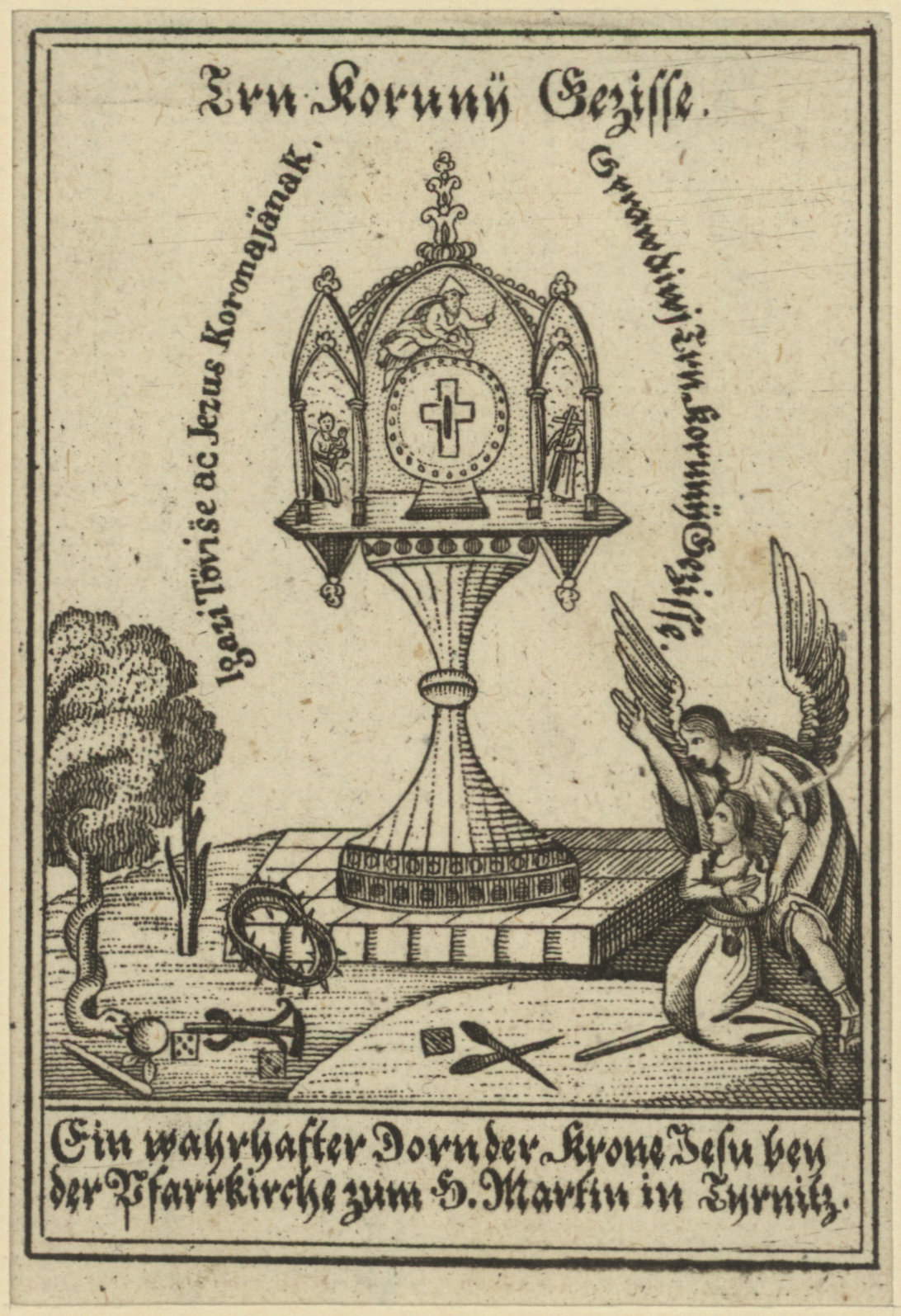 Náhledový obrázek trn z Koruny Ježíše  -  bey der Pfarrkirche zum H. Martin in Turnitz - 1