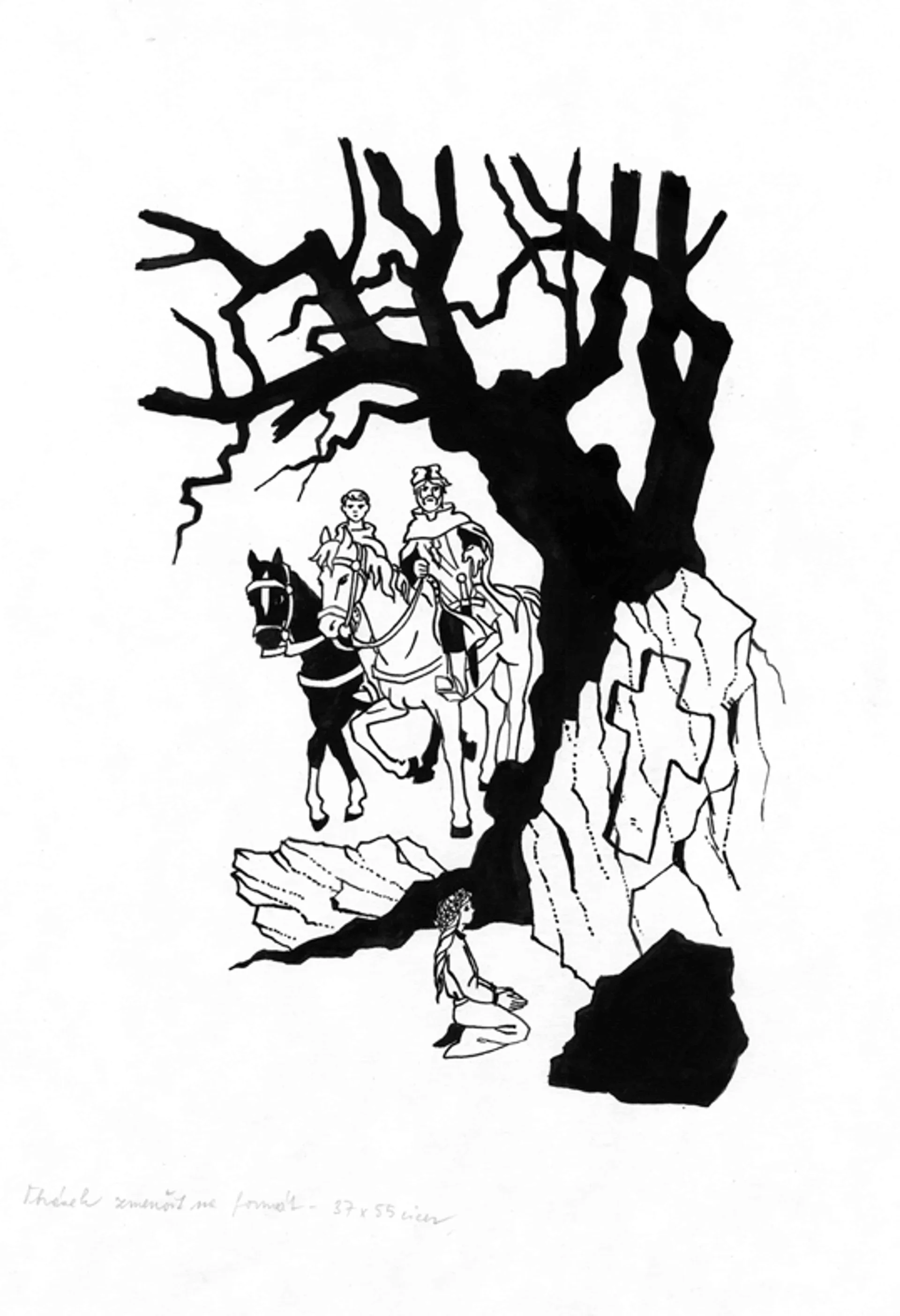 Náhledový obrázek předmětu Ilustrace - Paní z Lemberka