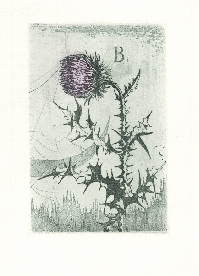 Náhledový obrázek Exlibris František Birhanzl - 1