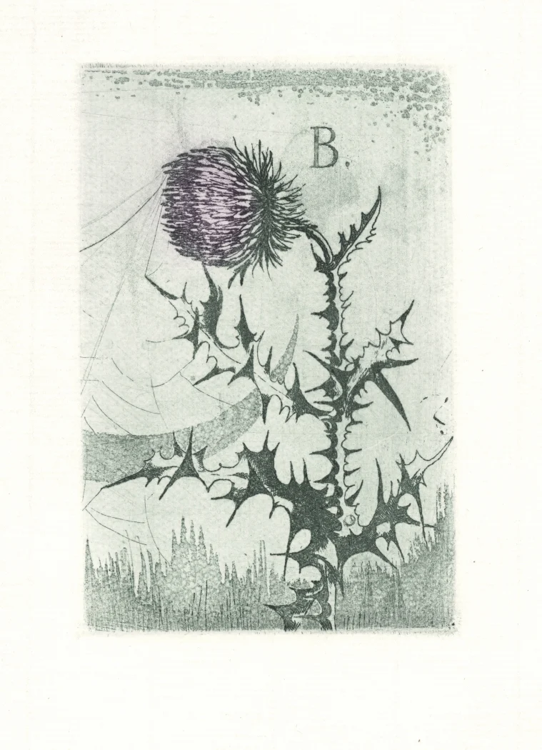 Náhledový obrázek předmětu Exlibris František Birhanzl