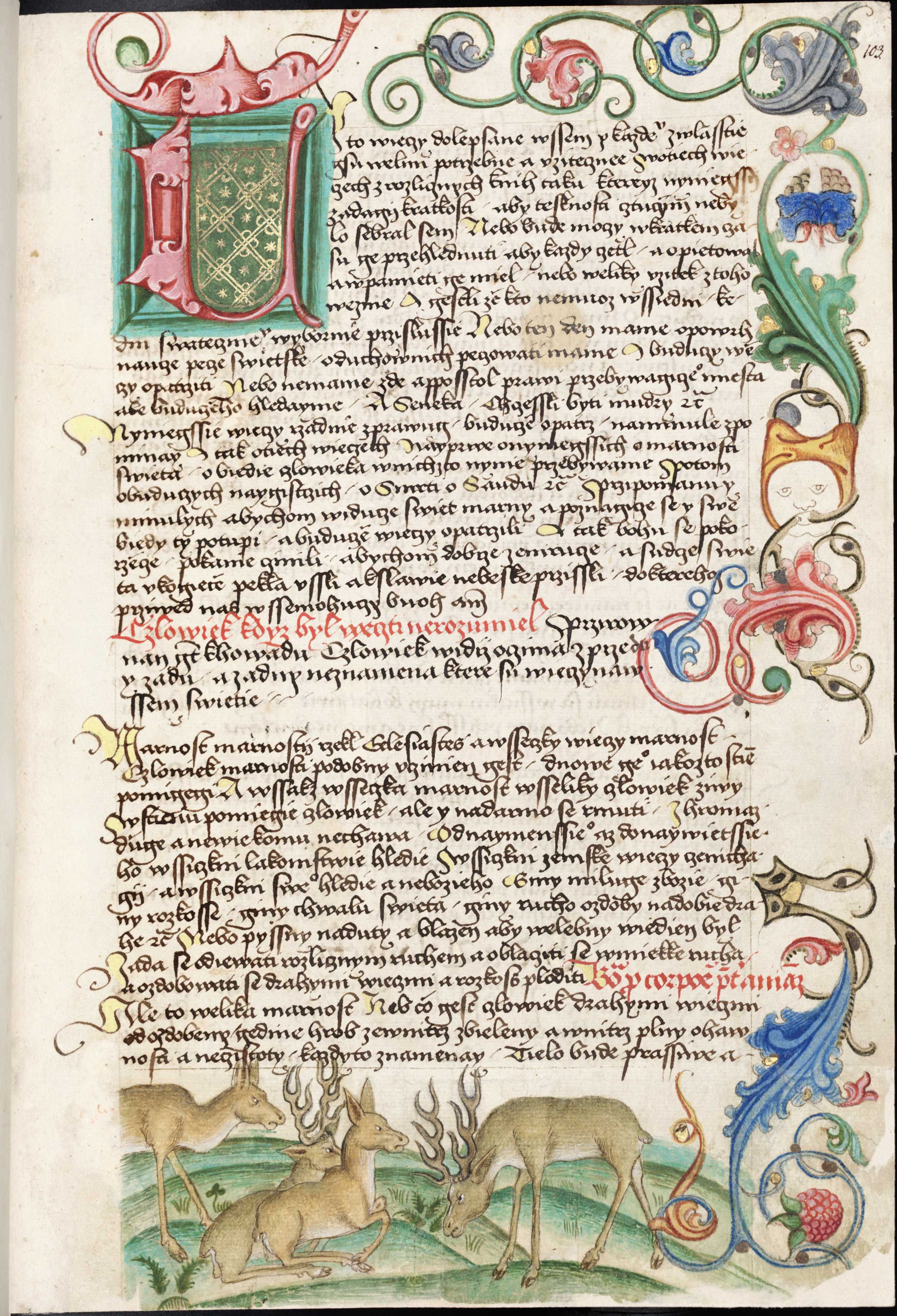Náhledový obrázek Antithesis Christi et Antichristi - 242