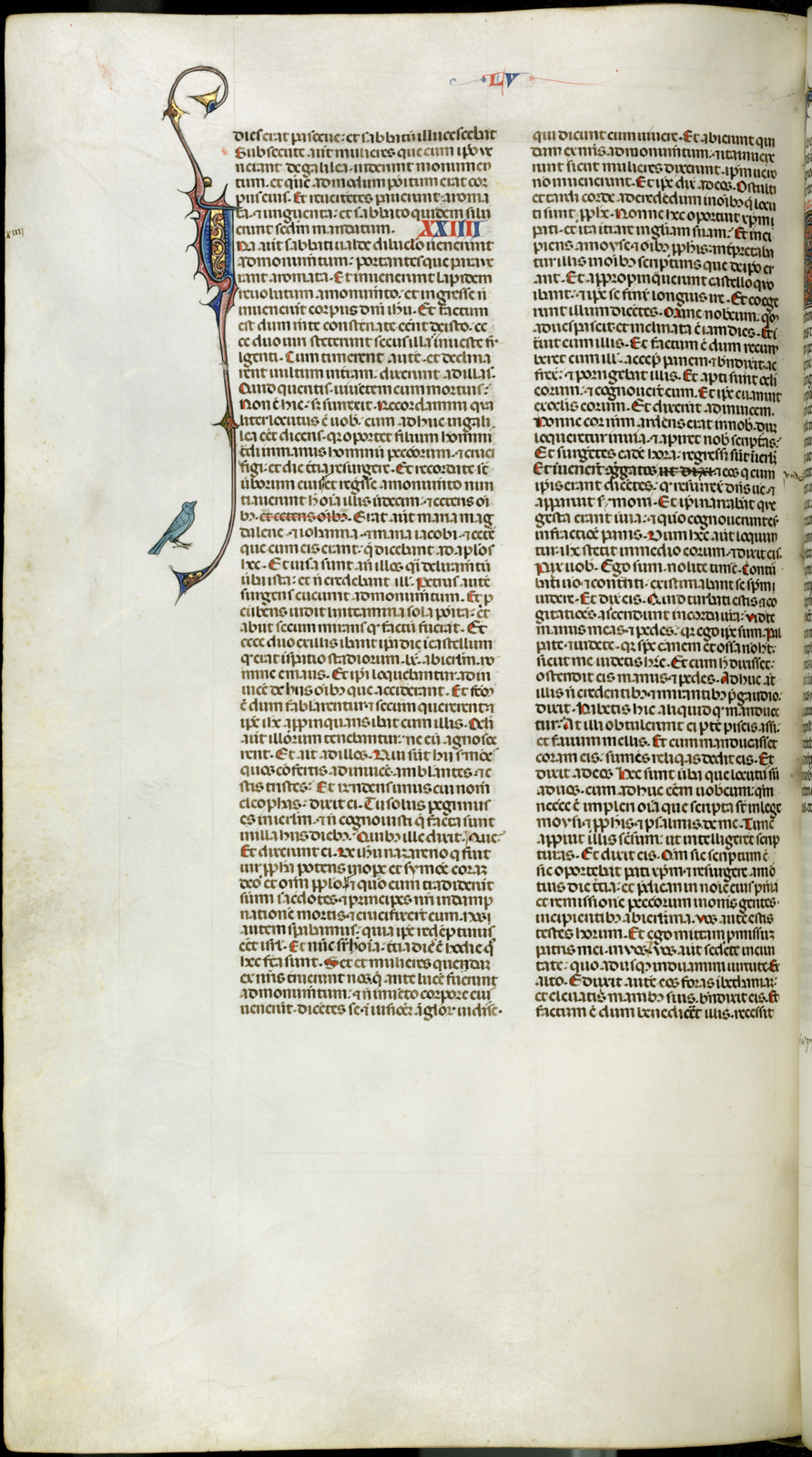 Náhledový obrázek Jaroměřská bible - 206
