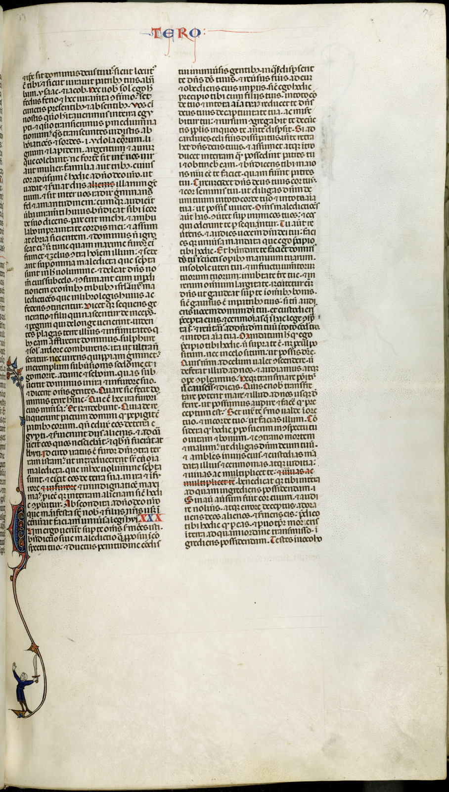 Náhledový obrázek Jaroměřská bible - 273