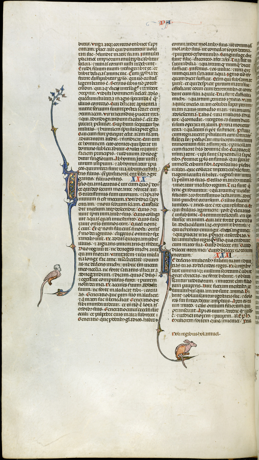 Náhledový obrázek Jaroměřská bible - 478