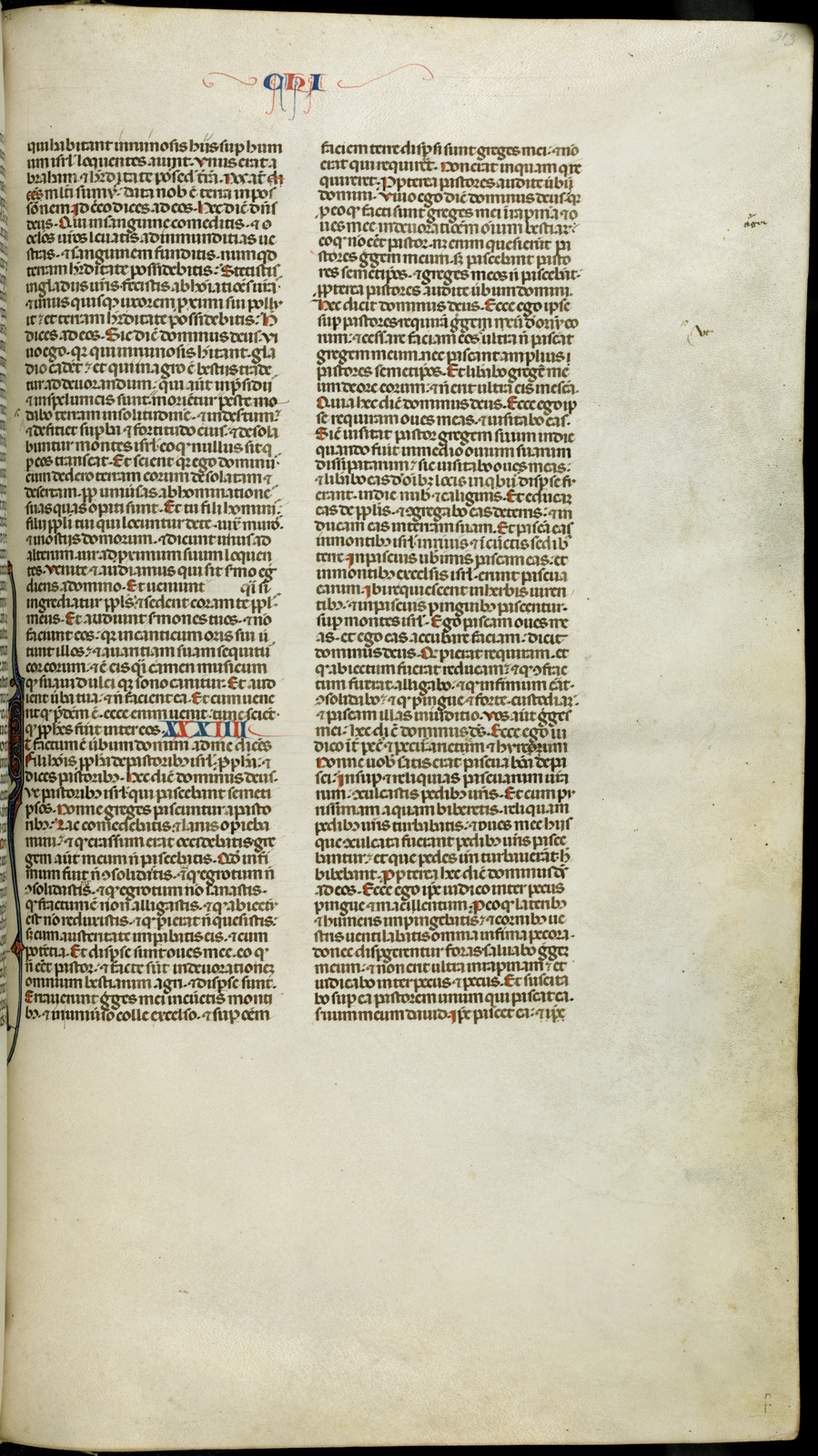 Náhledový obrázek Jaroměřská bible - 591