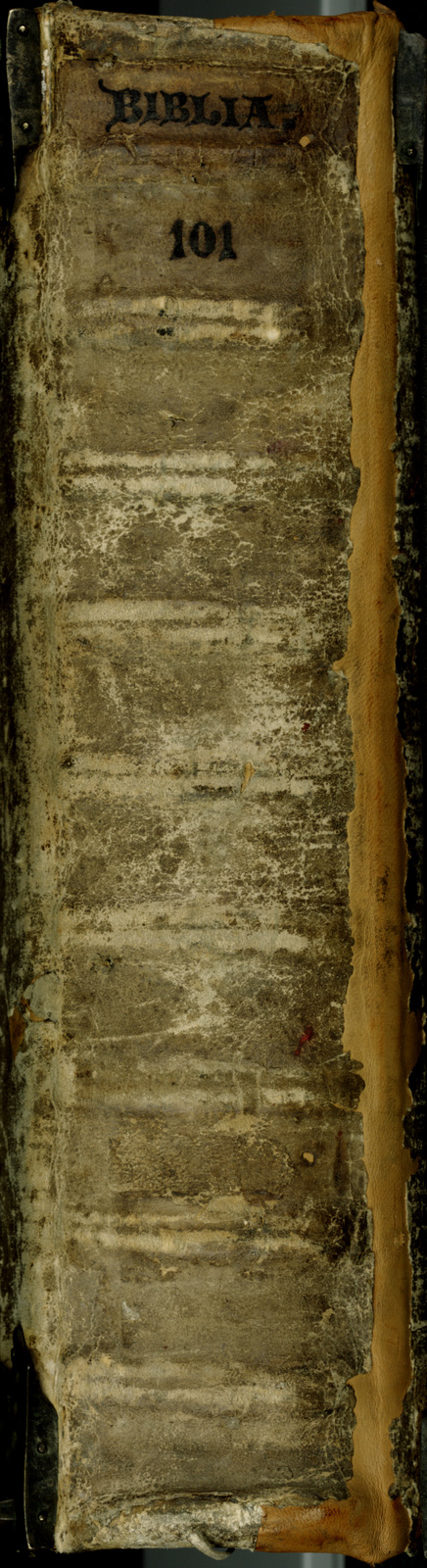 Náhledový obrázek Jaroměřská bible - 755