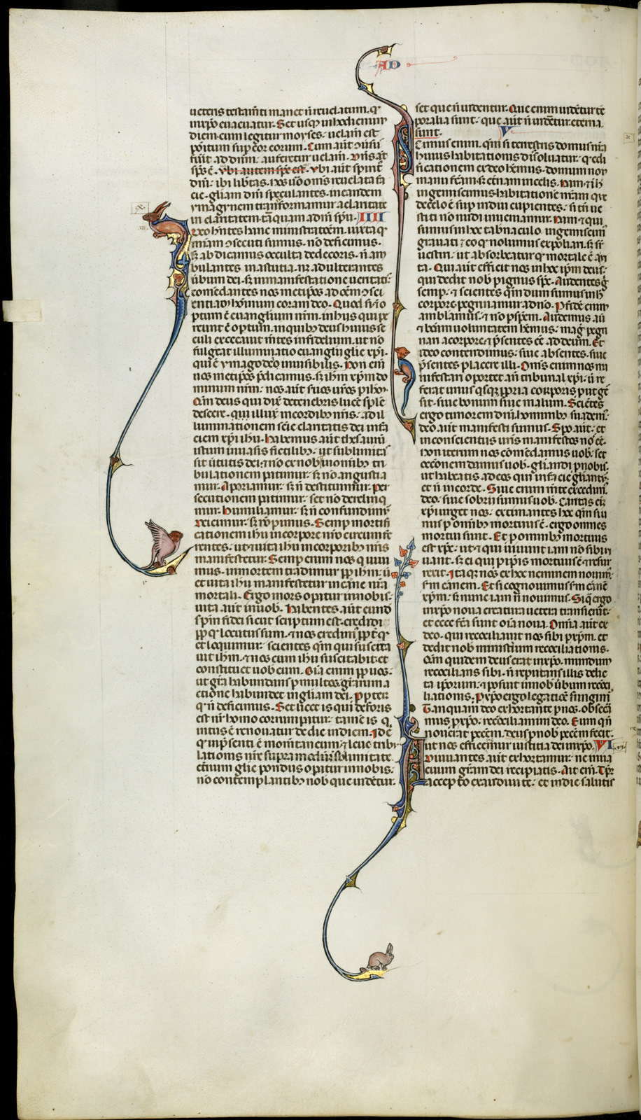 Náhledový obrázek Jaroměřská bible - 558