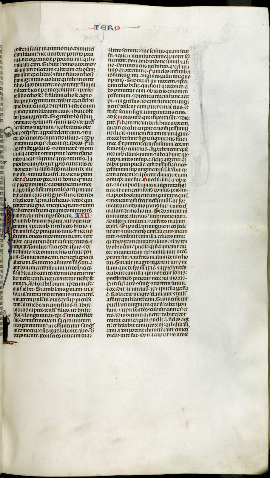 Náhledový obrázek Jaroměřská bible - 329