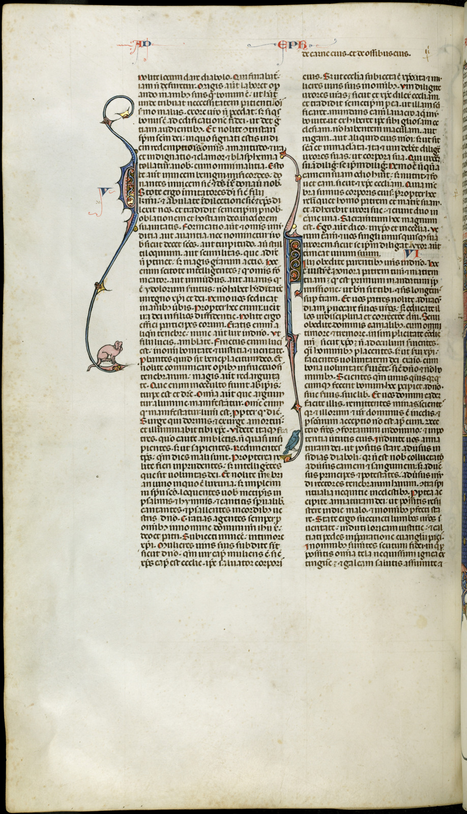 Náhledový obrázek Jaroměřská bible - 565