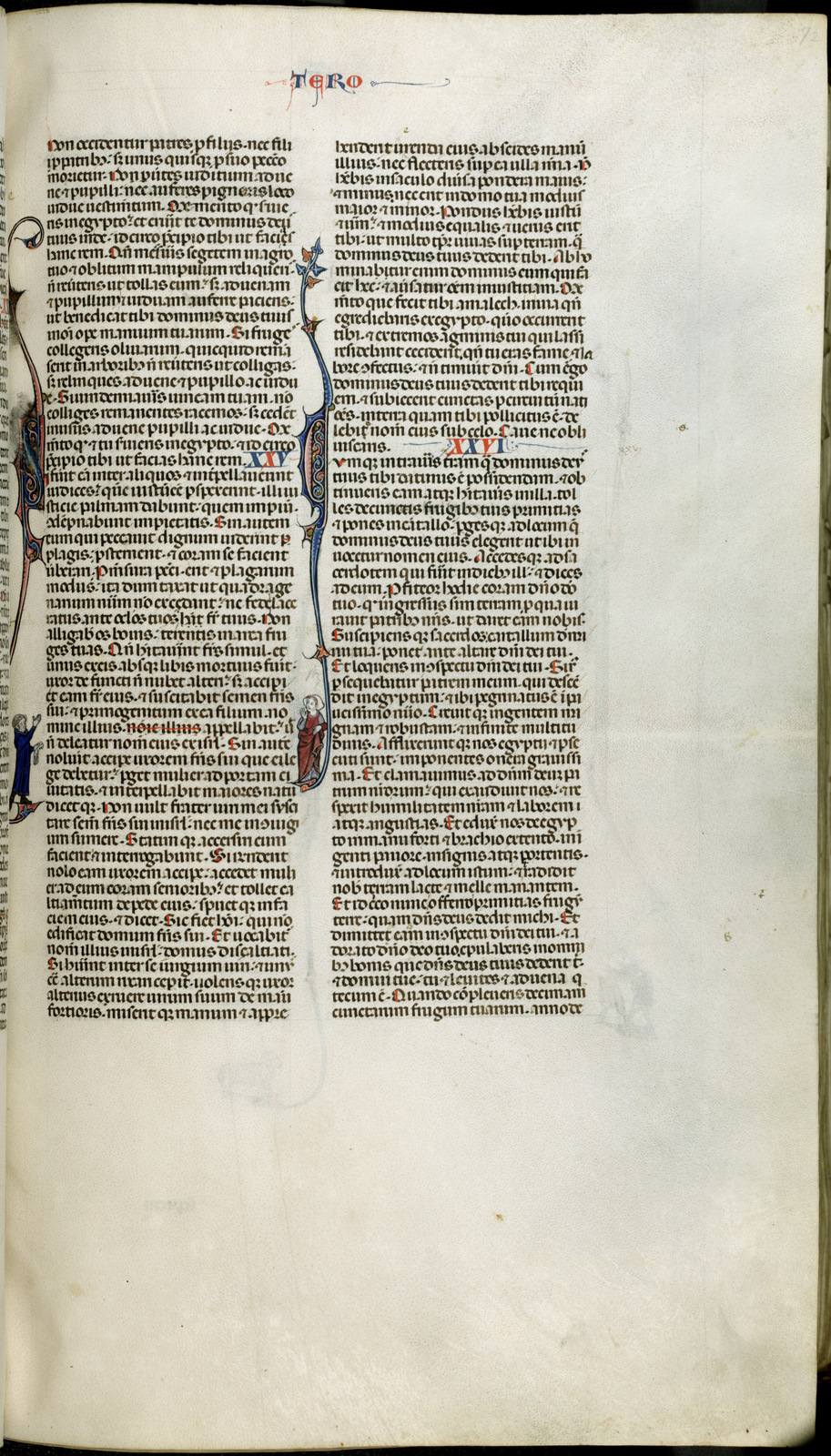 Náhledový obrázek Jaroměřská bible - 268