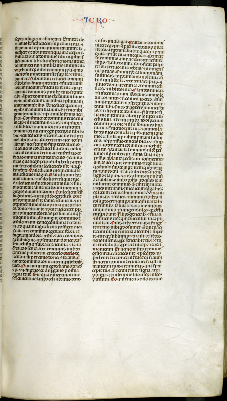 Náhledový obrázek Jaroměřská bible - 271