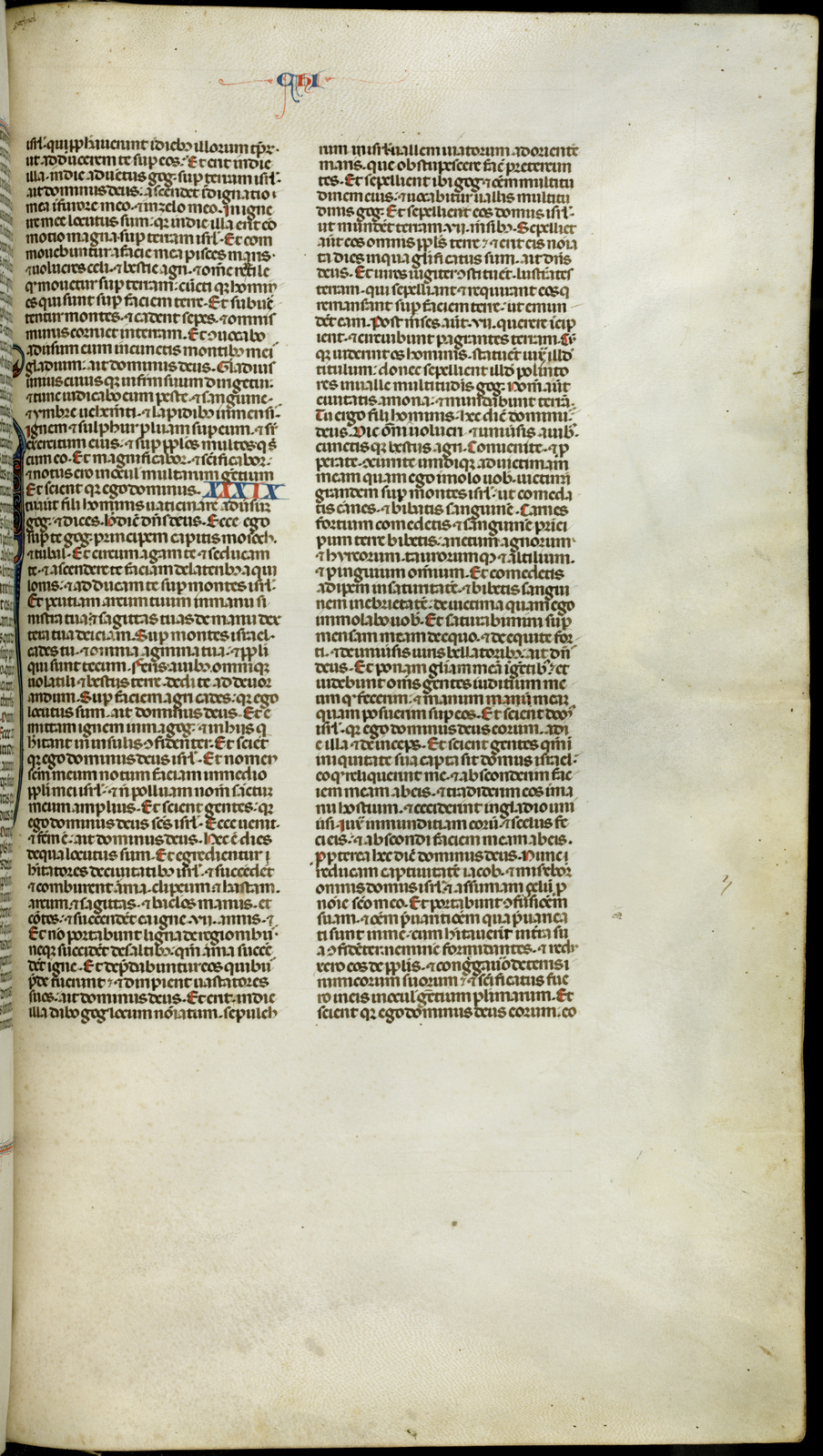 Náhledový obrázek Jaroměřská bible - 595