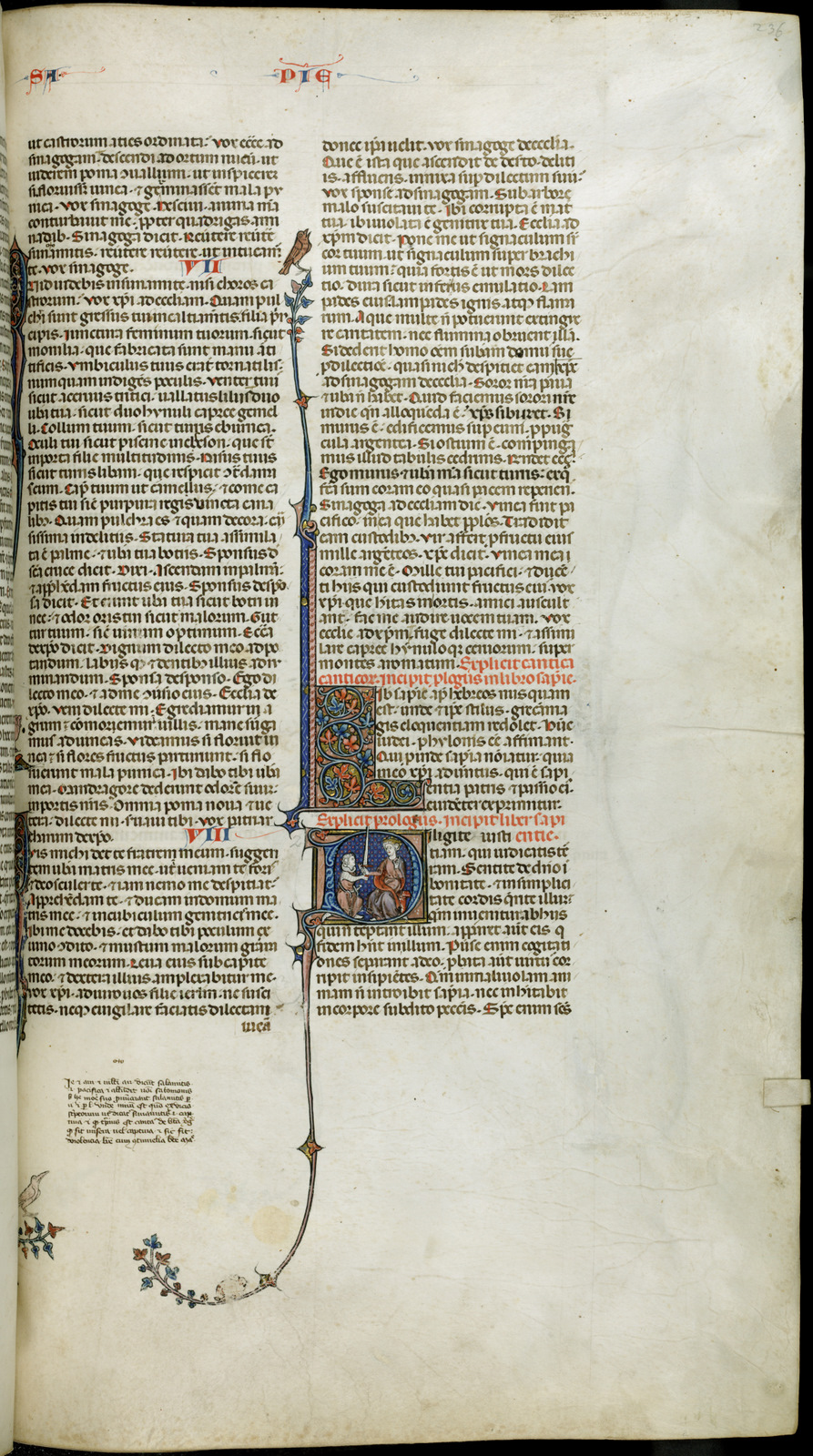 Náhledový obrázek Jaroměřská bible - 484