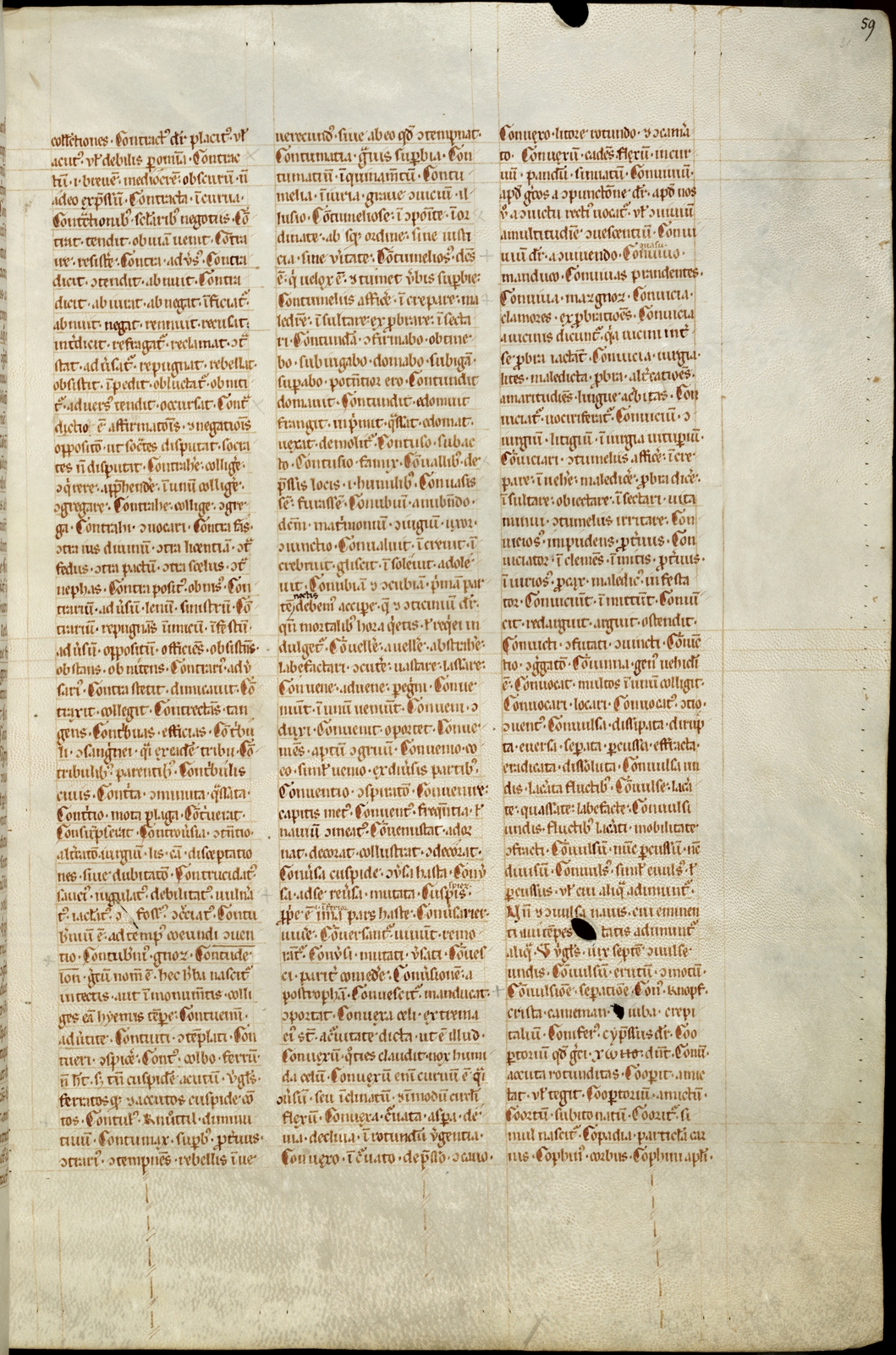 Náhledový obrázek Mater verborum - 295