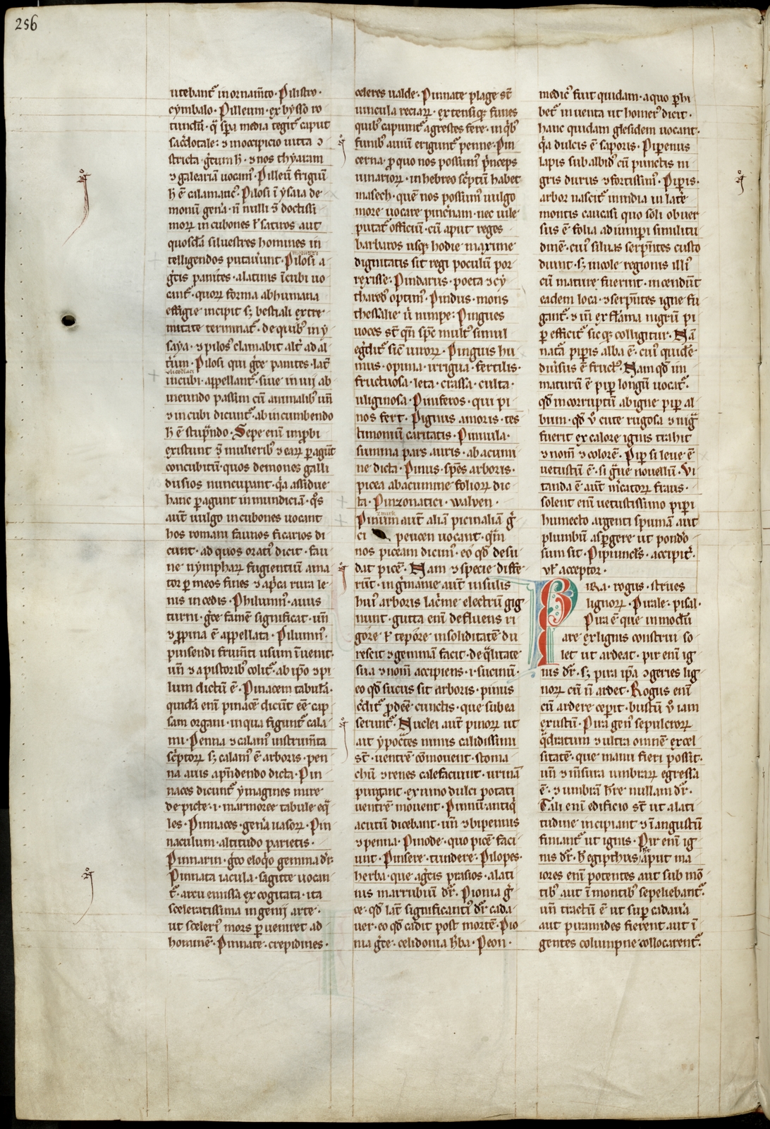 Náhledový obrázek Mater verborum - 104