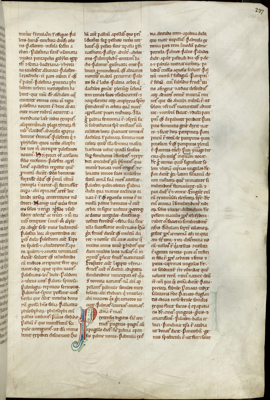 Náhledový obrázek Mater verborum - 475