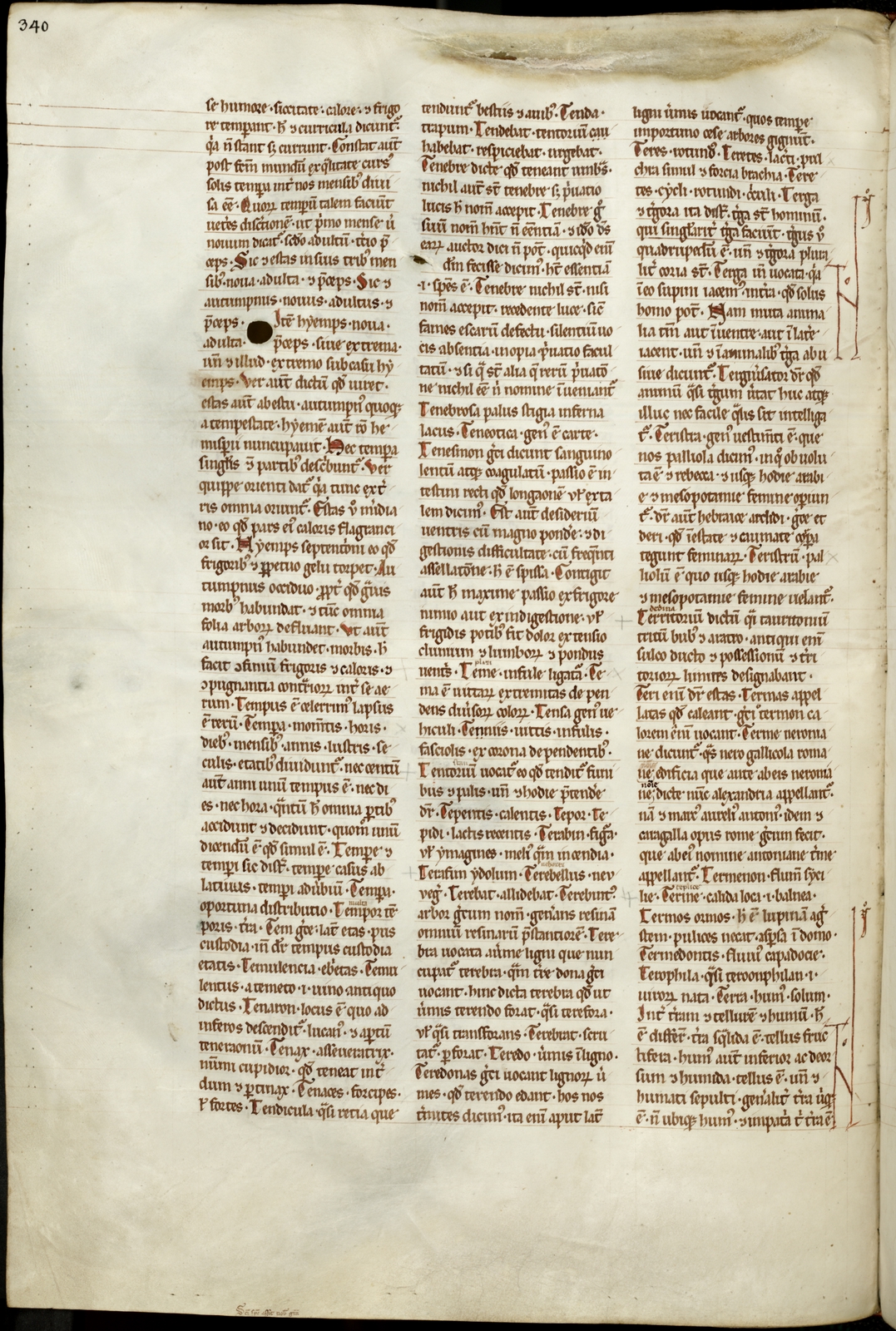 Náhledový obrázek Mater verborum - 419