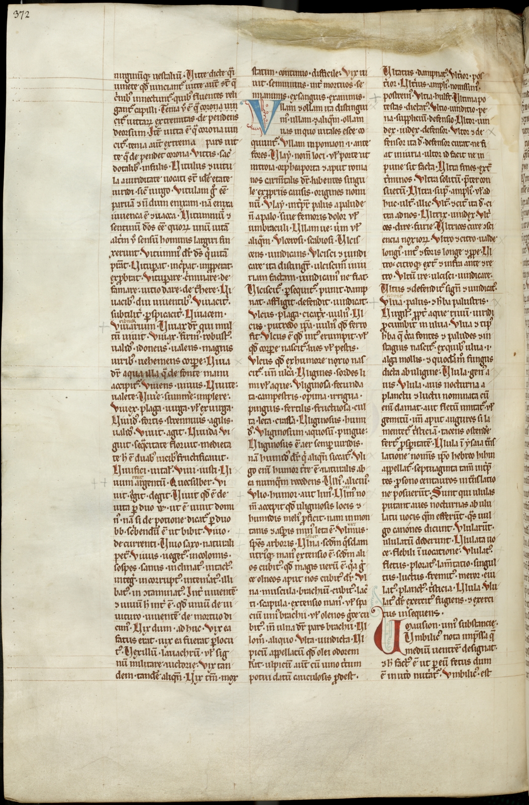 Náhledový obrázek Mater verborum - 335