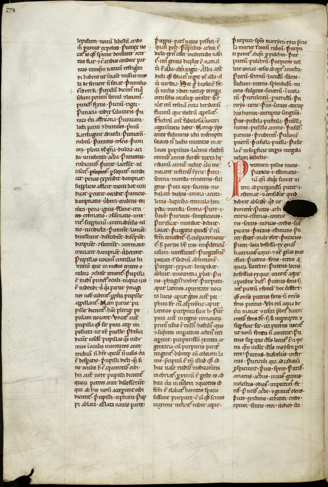 Náhledový obrázek Mater verborum - 137