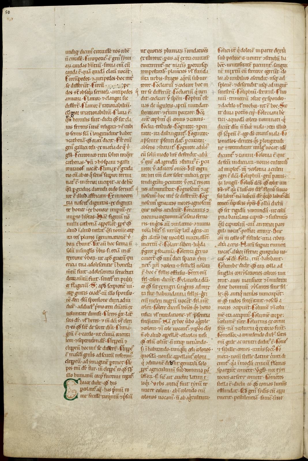 Náhledový obrázek Mater verborum - 286