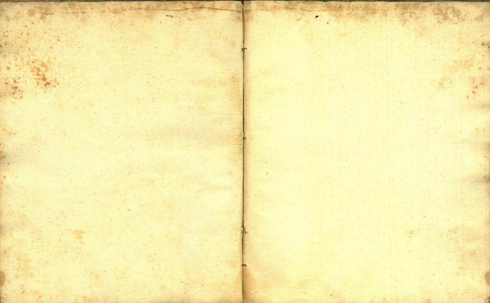 Náhledový obrázek Zřízení privilegií koruny a království českého jinak Registrum na deset truhlic z r. 1501 - 271