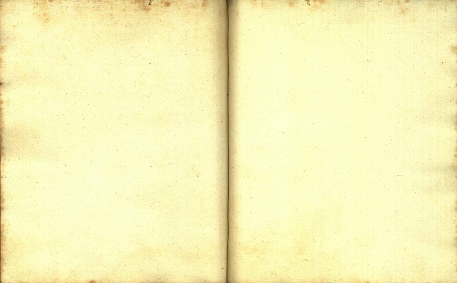 Náhledový obrázek Zřízení privilegií koruny a království českého jinak Registrum na deset truhlic z r. 1501 - 173