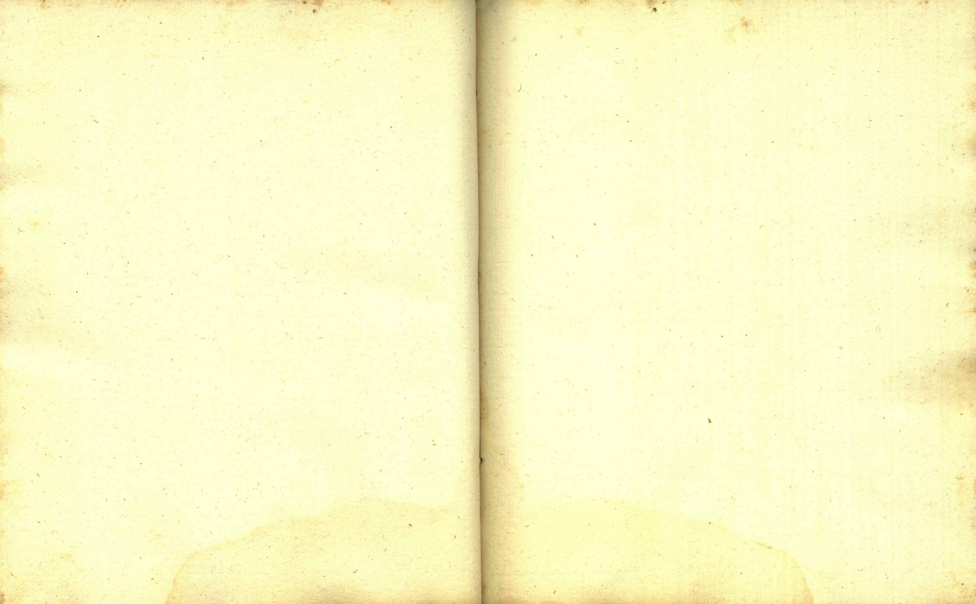 Náhledový obrázek Zřízení privilegií koruny a království českého jinak Registrum na deset truhlic z r. 1501 - 43