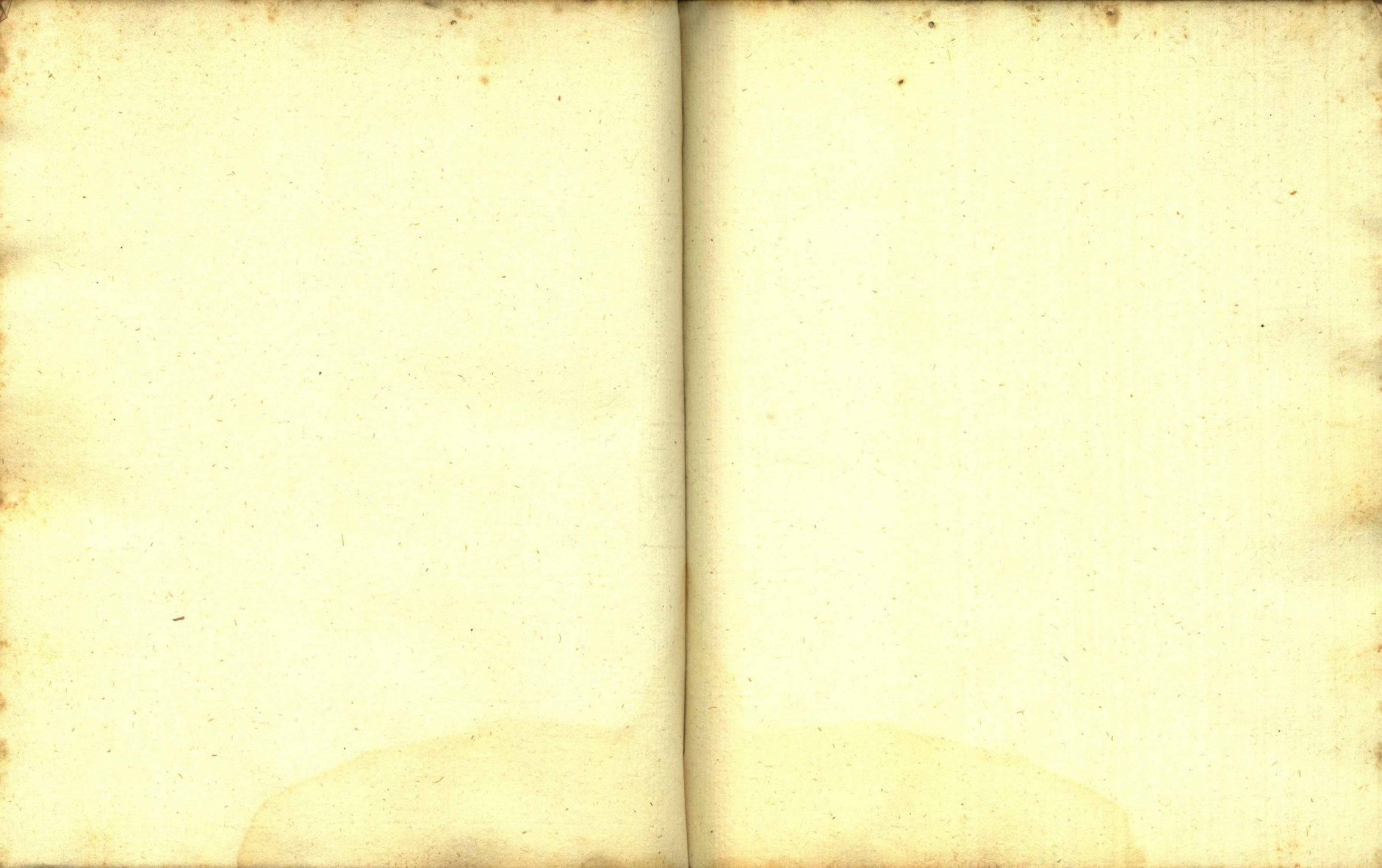 Náhledový obrázek Zřízení privilegií koruny a království českého jinak Registrum na deset truhlic z r. 1501 - 46