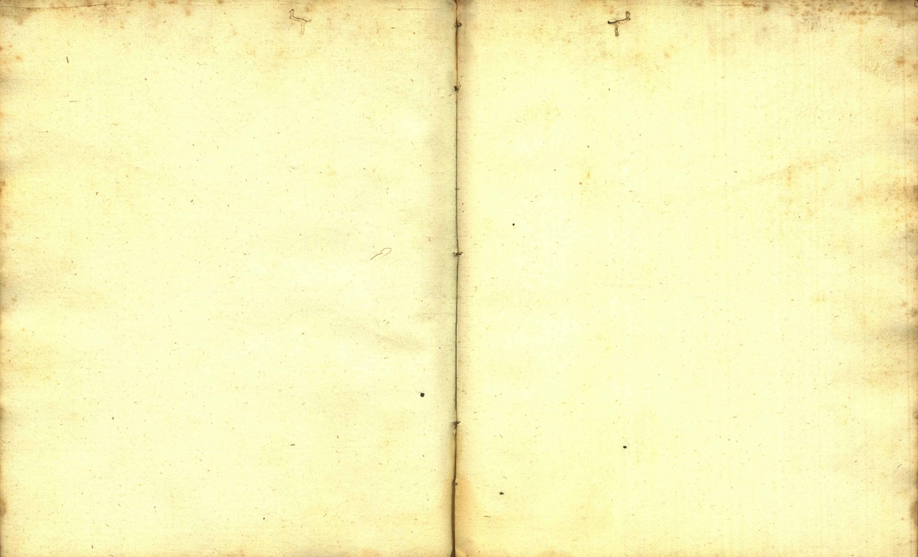 Náhledový obrázek Zřízení privilegií koruny a království českého jinak Registrum na deset truhlic z r. 1501 - 113