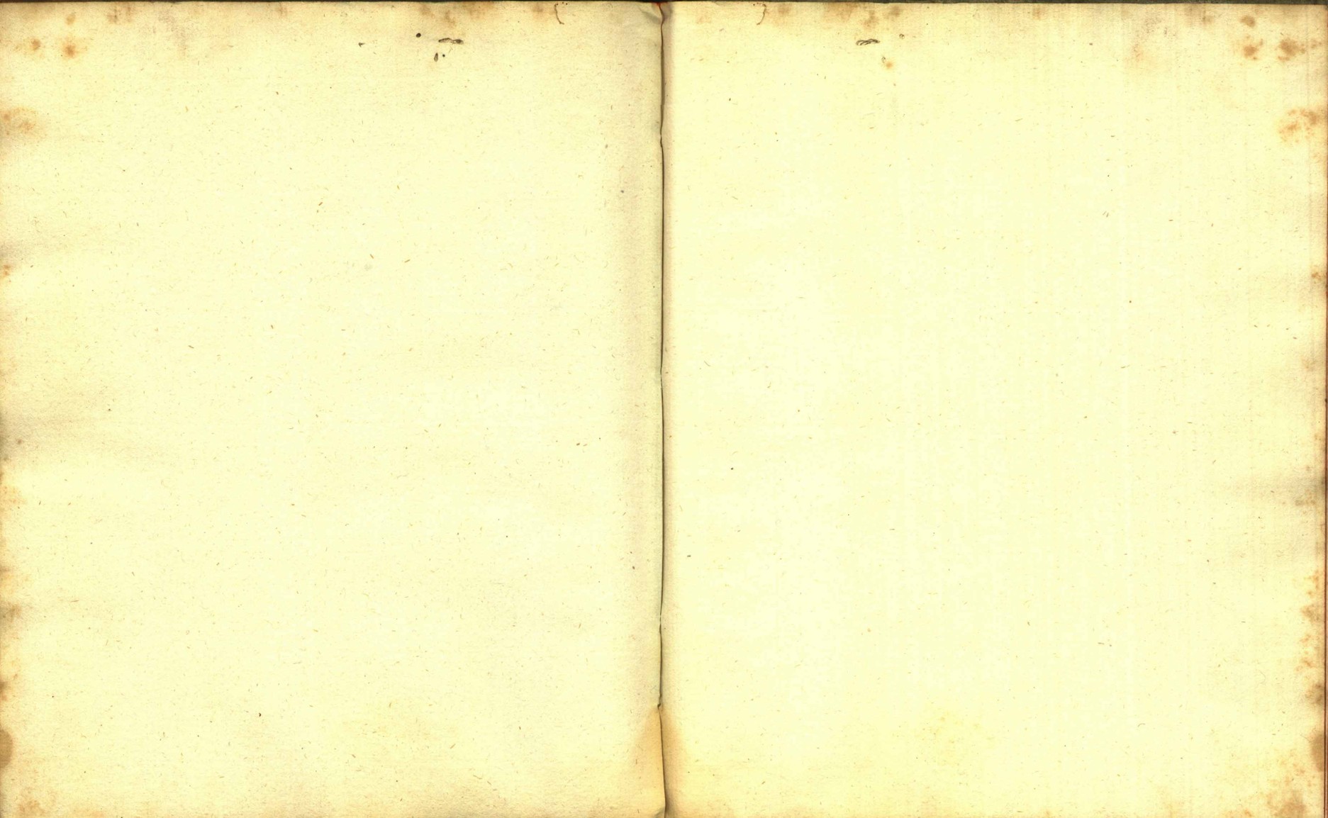 Náhledový obrázek Zřízení privilegií koruny a království českého jinak Registrum na deset truhlic z r. 1501 - 153