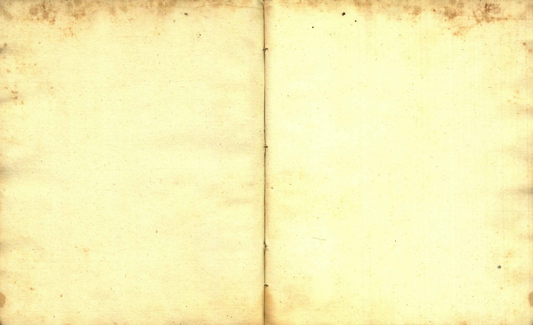 Náhledový obrázek Zřízení privilegií koruny a království českého jinak Registrum na deset truhlic z r. 1501 - 272