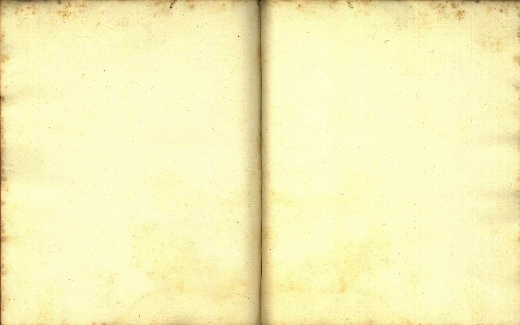 Náhledový obrázek Zřízení privilegií koruny a království českého jinak Registrum na deset truhlic z r. 1501 - 174
