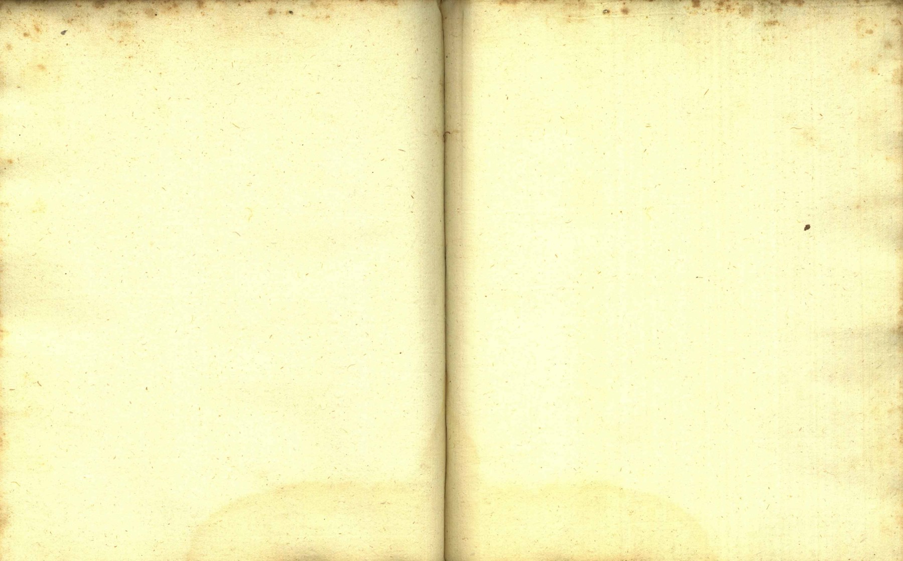 Náhledový obrázek Zřízení privilegií koruny a království českého jinak Registrum na deset truhlic z r. 1501 - 169