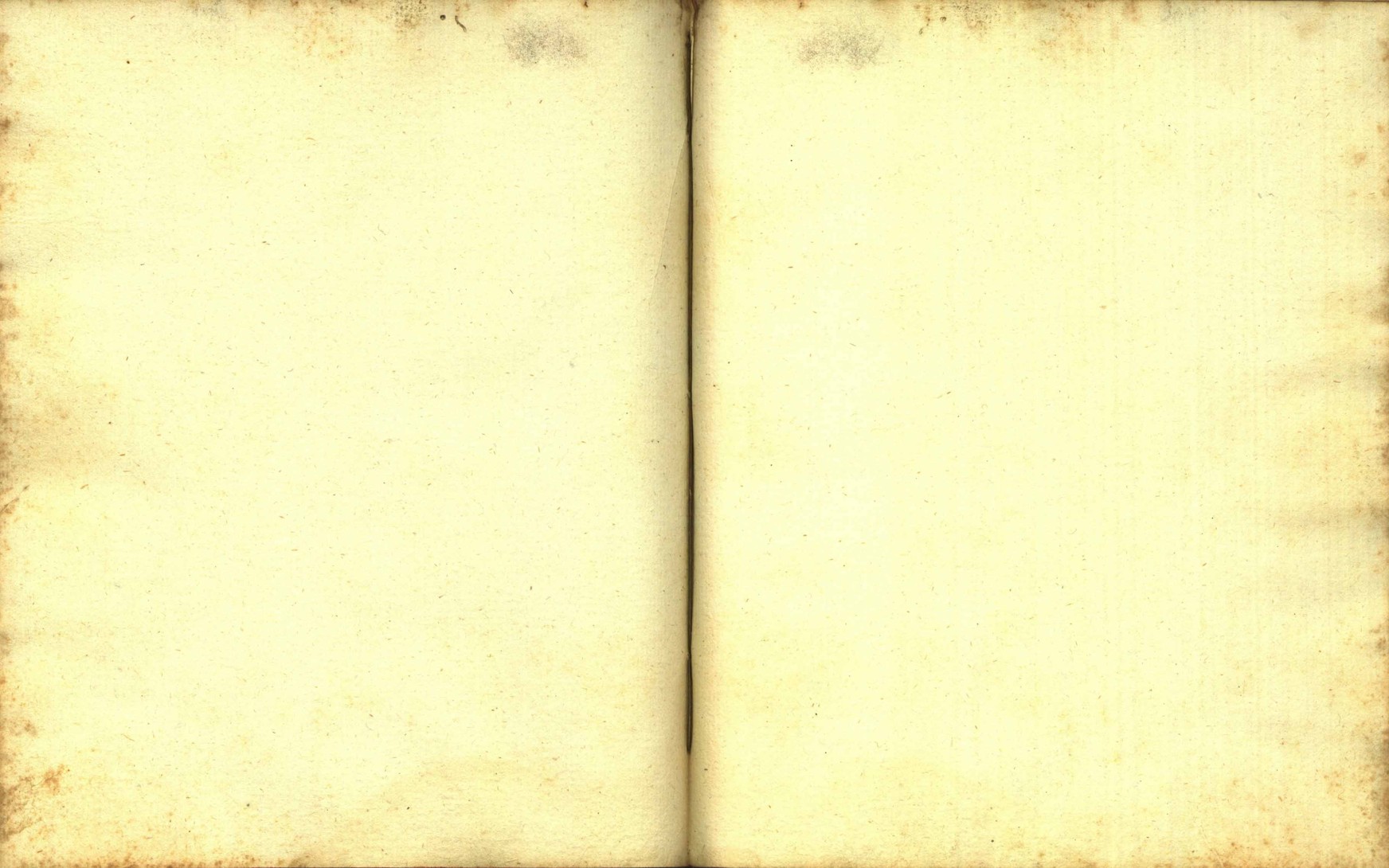 Náhledový obrázek Zřízení privilegií koruny a království českého jinak Registrum na deset truhlic z r. 1501 - 183
