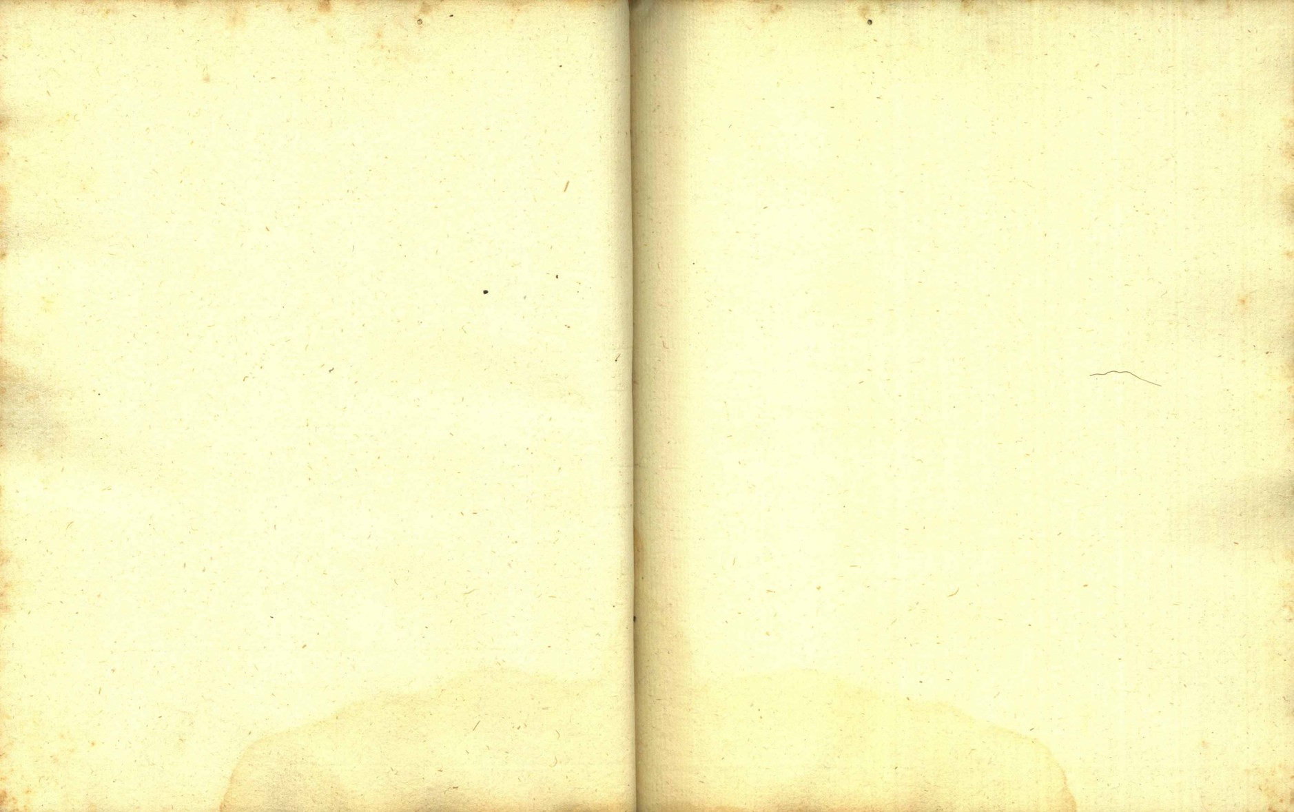 Náhledový obrázek Zřízení privilegií koruny a království českého jinak Registrum na deset truhlic z r. 1501 - 42
