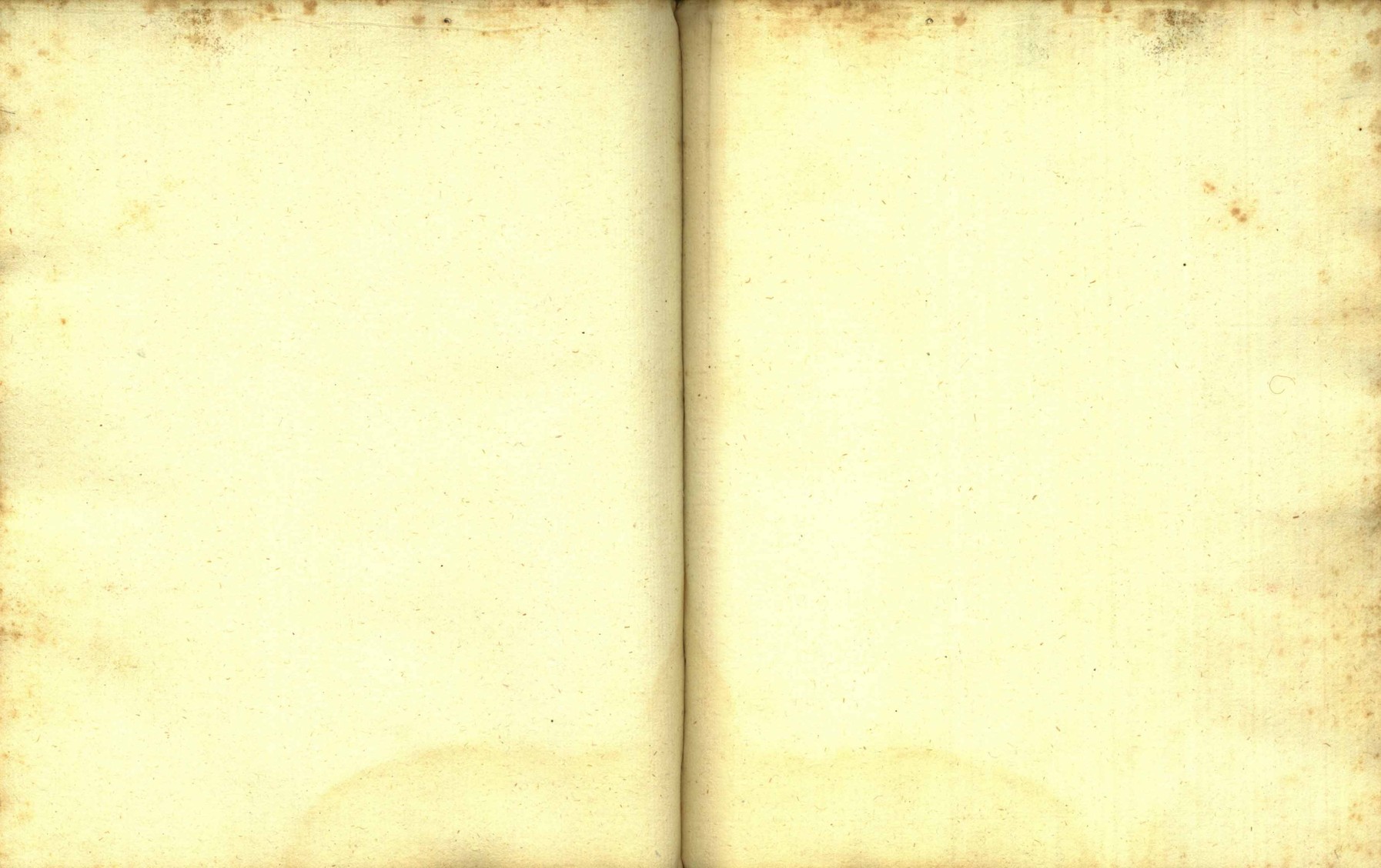 Náhledový obrázek Zřízení privilegií koruny a království českého jinak Registrum na deset truhlic z r. 1501 - 217