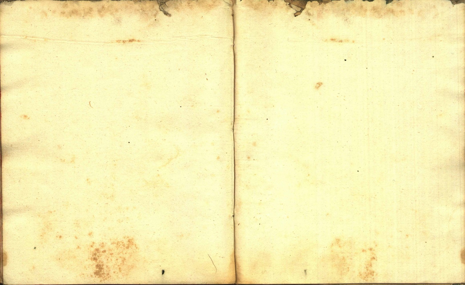 Náhledový obrázek Zřízení privilegií koruny a království českého jinak Registrum na deset truhlic z r. 1501 - 275