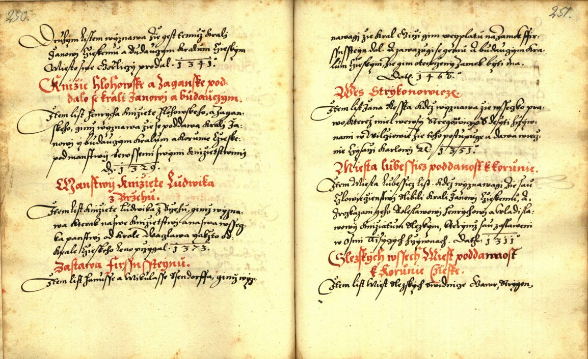 Náhledový obrázek Zřízení privilegií koruny a království českého jinak Registrum na deset truhlic z r. 1501 - 262