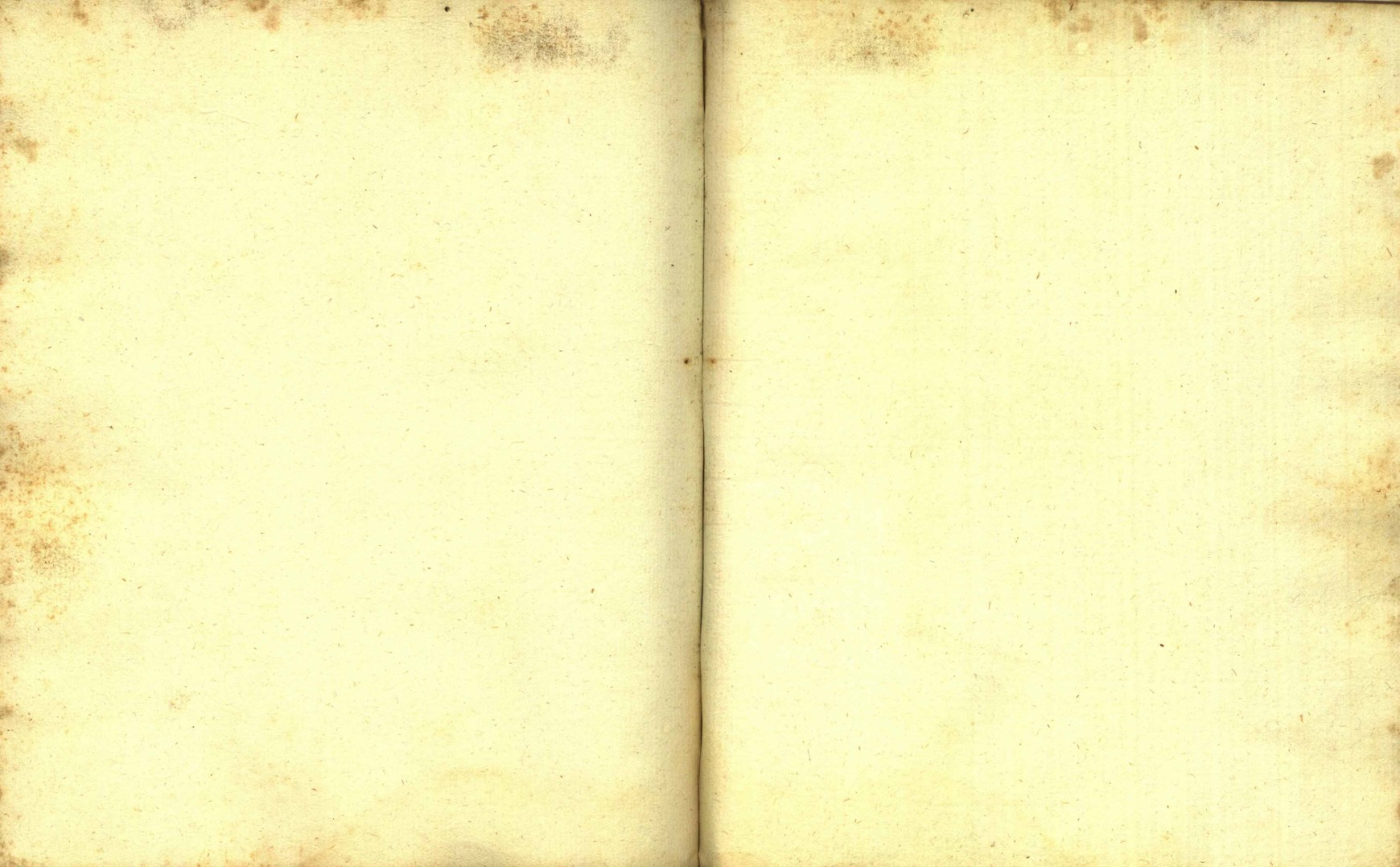 Náhledový obrázek Zřízení privilegií koruny a království českého jinak Registrum na deset truhlic z r. 1501 - 186