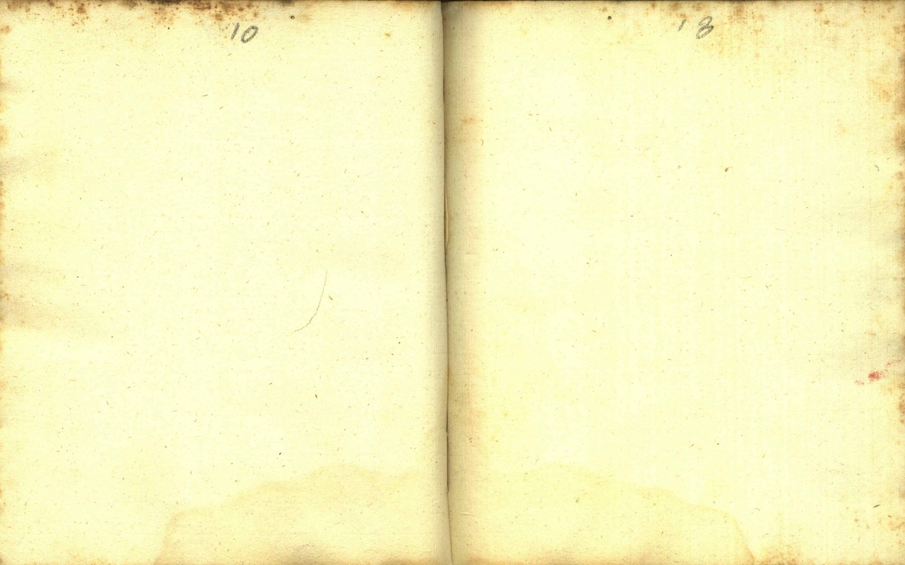 Náhledový obrázek Zřízení privilegií koruny a království českého jinak Registrum na deset truhlic z r. 1501 - 40