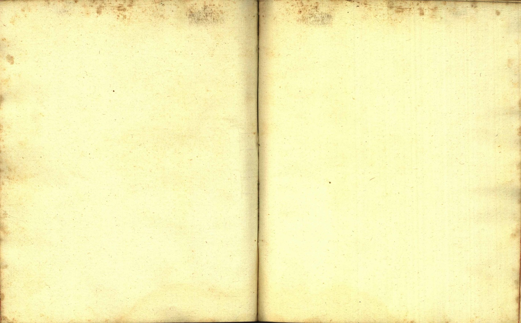 Náhledový obrázek Zřízení privilegií koruny a království českého jinak Registrum na deset truhlic z r. 1501 - 187