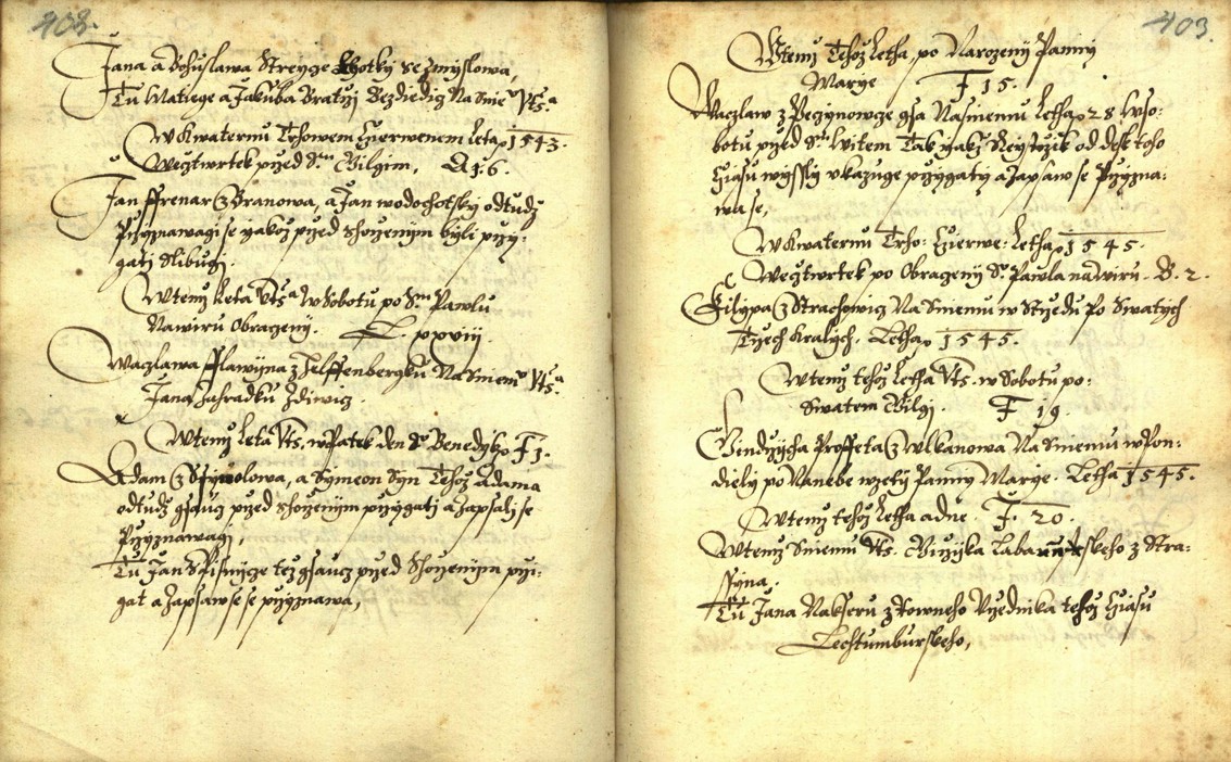 Náhledový obrázek Zřízení privilegií koruny a království českého jinak Registrum na deset truhlic z r. 1501 - 248