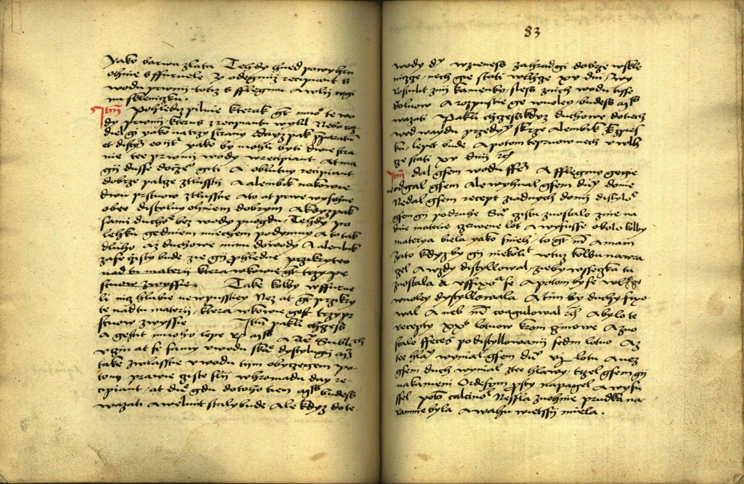 Náhledový obrázek Alchymie česká z XVI. století - 502
