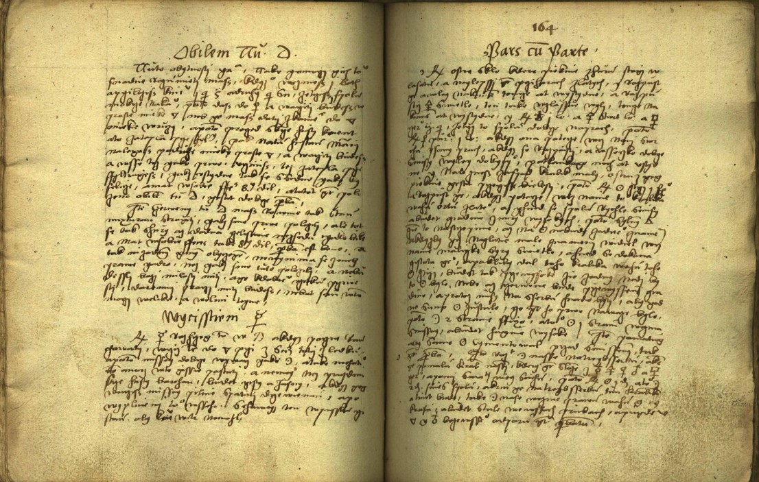 Náhledový obrázek Alchymie česká z XVI. století - 138