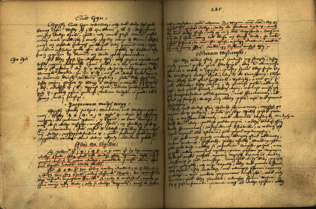 Náhledový obrázek Alchymie česká z XVI. století - 141