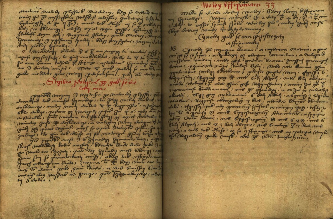 Náhledový obrázek Alchymie česká z XVI. století - 529
