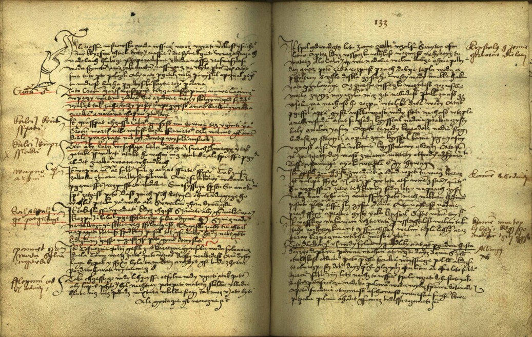 Náhledový obrázek Alchymie česká z XVI. století - 107