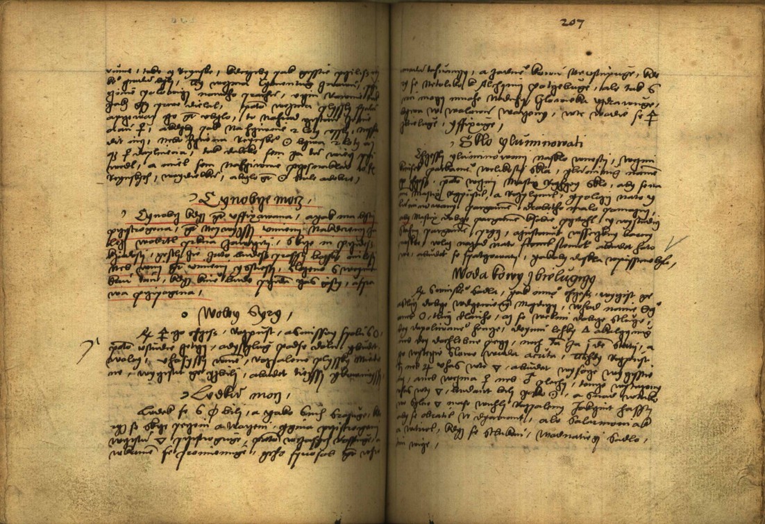 Náhledový obrázek Alchymie česká z XVI. století - 406