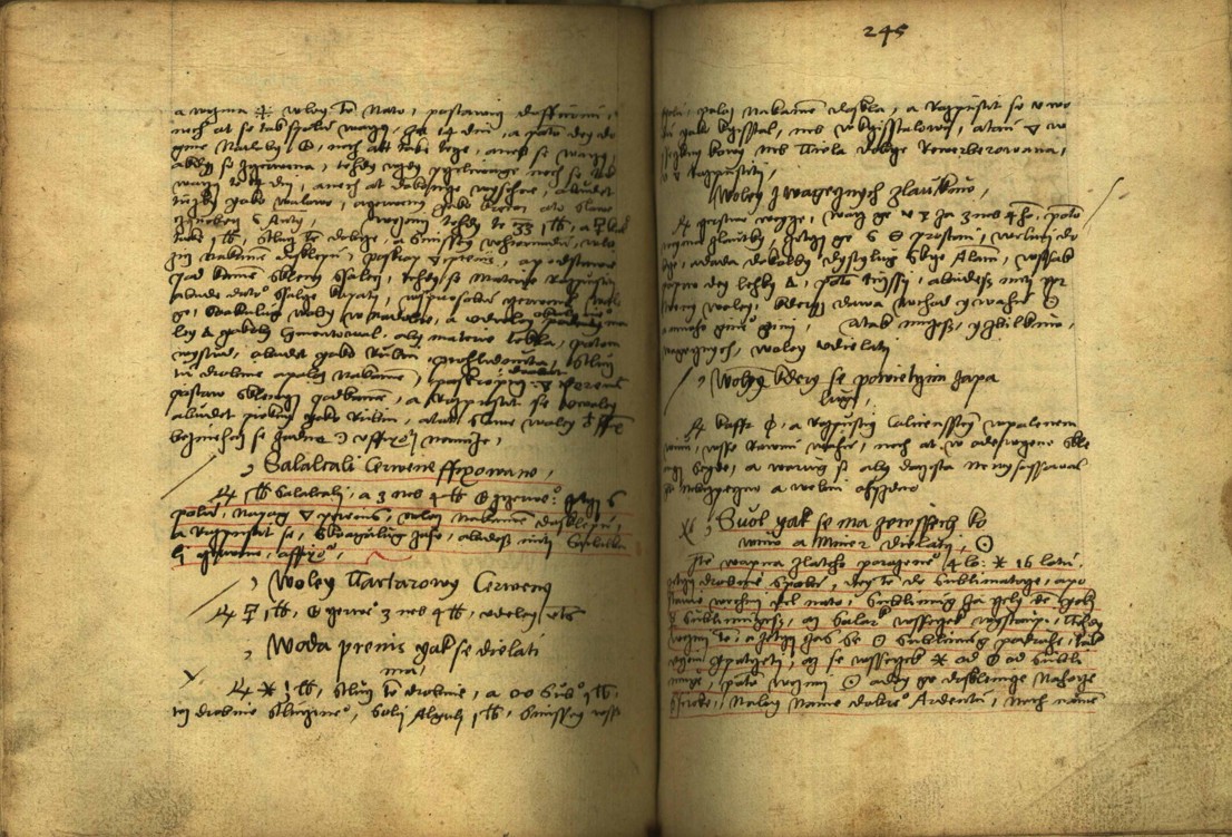 Náhledový obrázek Alchymie česká z XVI. století - 593