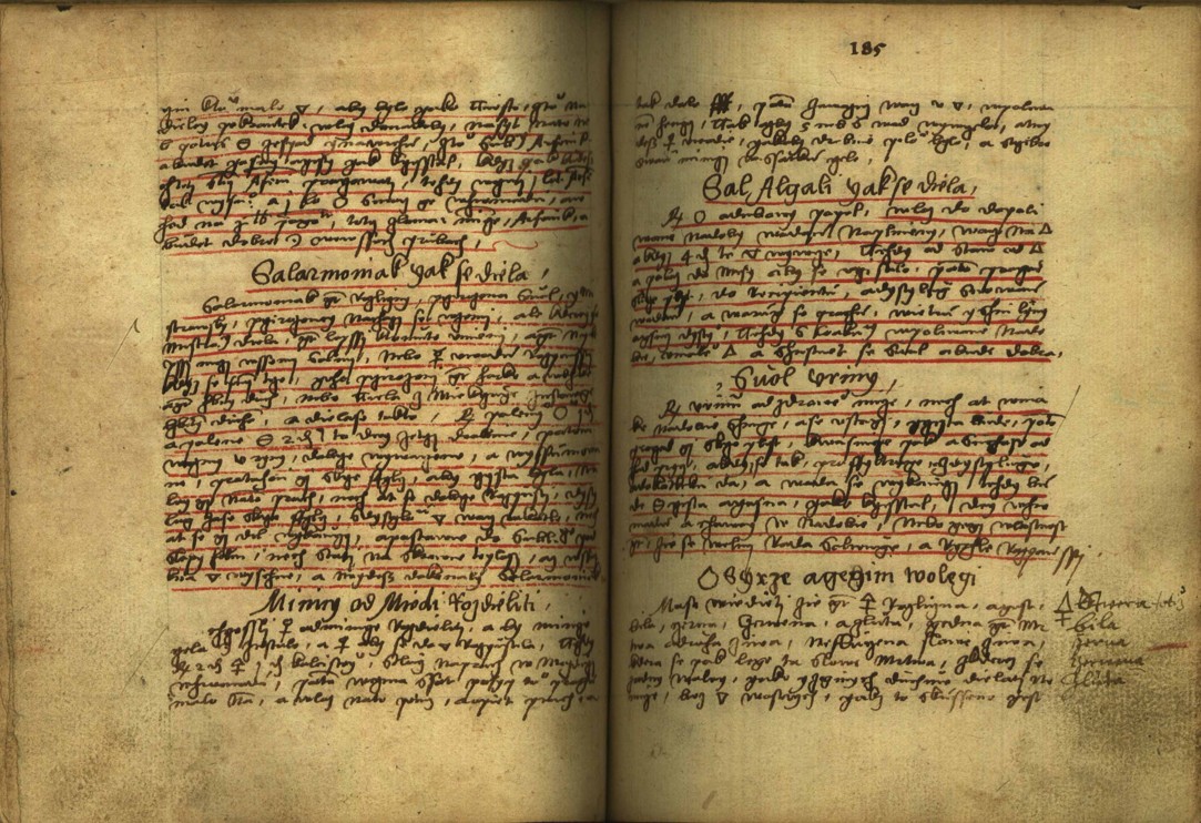 Náhledový obrázek Alchymie česká z XVI. století - 174